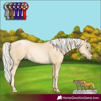 Horse Color:Silver Sable Cream Champagne Pearl 