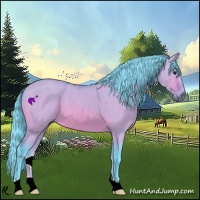 Horse Color:Watercolor Bay Dun 