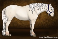Horse Color:Silver Amber Cream Champagne Pearl