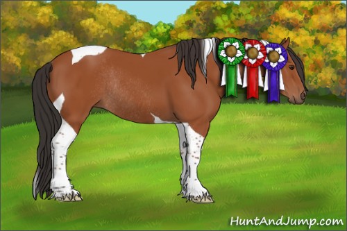 Horse Color:Bay Tobiano Rabicano 