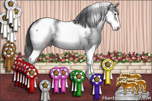Horse Color:White Spotted Black