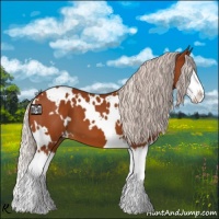Horse Color:White Spotted Chocolate Silver Buckskin Splash 