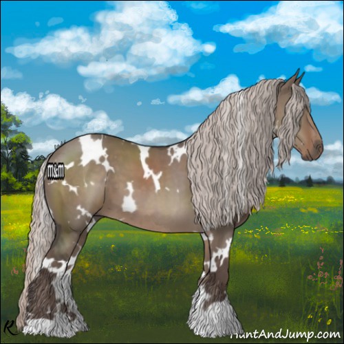 Horse Color:White Spotted Silver Grullo