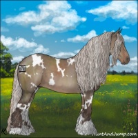 Horse Color:White Spotted Silver Grullo 