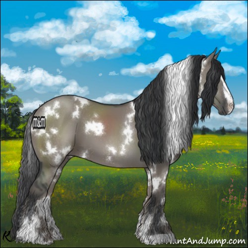 Horse Color:White Spotted Grullo Sabino 