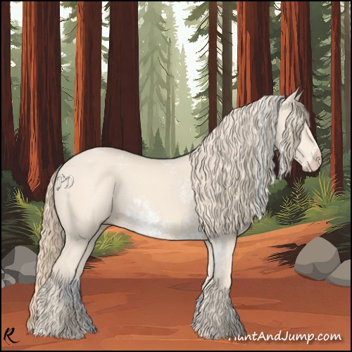 Horse Color:White Spotted Perlino Rabicano 