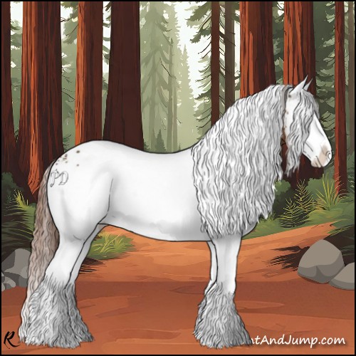 Horse Color:White Spotted Chestnut Splash 