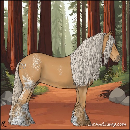 Horse Color:White Spotted Palomino 