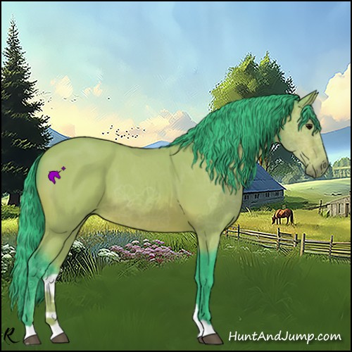 Horse Color:Watercolor Bay Roan 