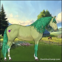 Horse Color:Watercolor Bay Roan 