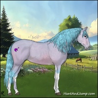 Horse Color:Watercolor Bay Dun Tobiano