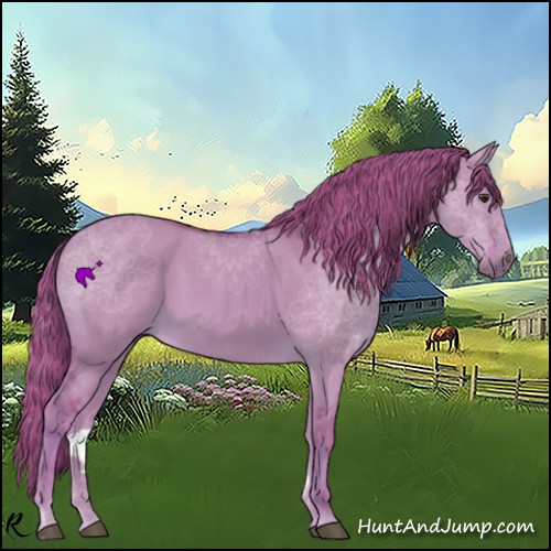 Horse Color:Watercolor Red Dun