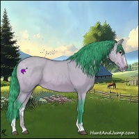 Horse Color:Watercolor Bay Dun Sabino Rabicano