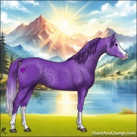 Horse Color:Watercolor Black Splash 
