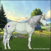 Horse Color:Watercolor Silver Bay Dun Splash