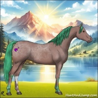 Horse Color:Watercolor Bay 