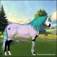 Horse Color:Watercolor Bay Dun Splash
