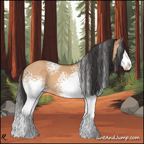 Horse Color:White Spotted Bay Dun Splash 