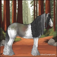 Horse Color:White Spotted Grullo 