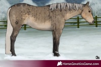 Horse Color:Silver Smoky Grullo Brindle 