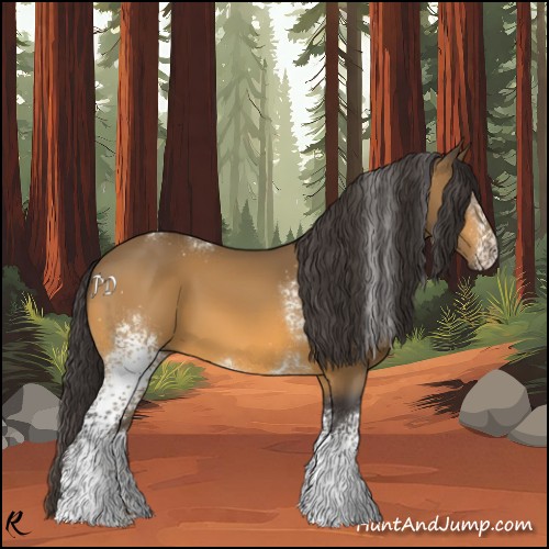 Horse Color:White Spotted Buckskin 