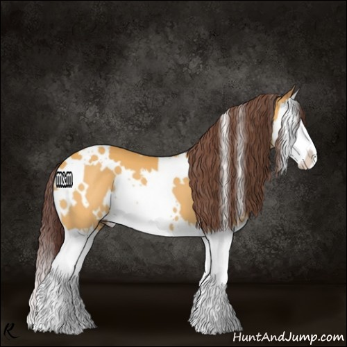 Horse Color:White Spotted Chocolate Buckskin Splash