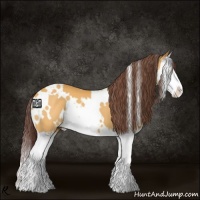 Horse Color:White Spotted Chocolate Buckskin Splash 