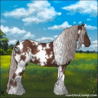 Horse Color:White Spotted Chocolate Silver Brown 
