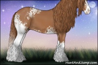 Horse Color:White Spotted Chestnut Splash 