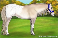 Horse Color:Red Onyx Pearl Appaloosa 