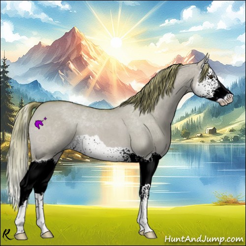 Horse Color:Watercolor Red Dun Splash