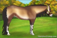 Horse Color:Buckskin Roan Onyx 