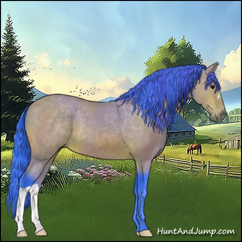 Horse Color:Watercolor Bay