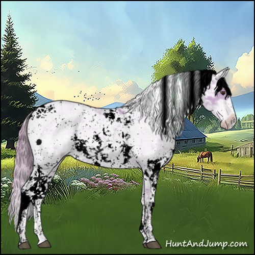 Horse Color:Watercolor Red Dun Sabino 