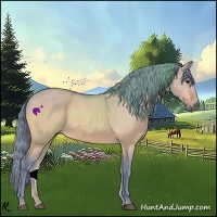 Horse Color:Watercolor Bay Roan Dun Sabino 