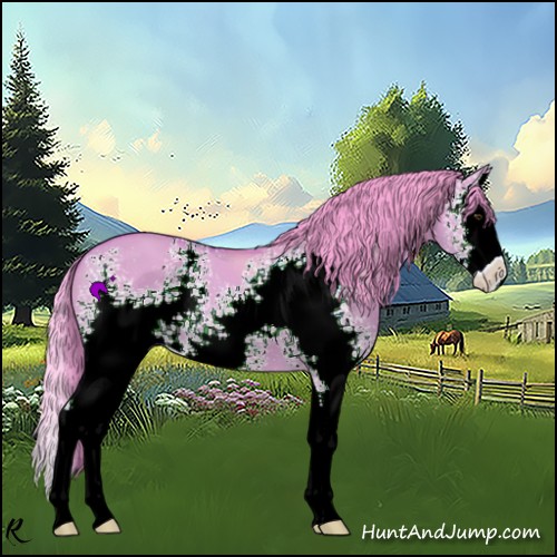 Horse Color:Watercolor White Spotted Bay Dun Splash