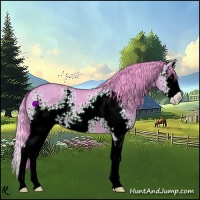 Horse Color:Watercolor White Spotted Bay Dun Splash 