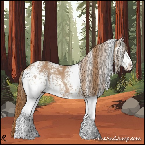 Horse Color:White Spotted Chestnut