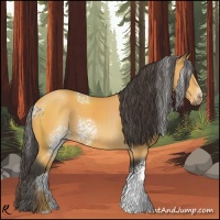 Horse Color:White Spotted Buckskin 