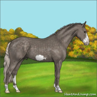 Horse Color:Silver Black Frame