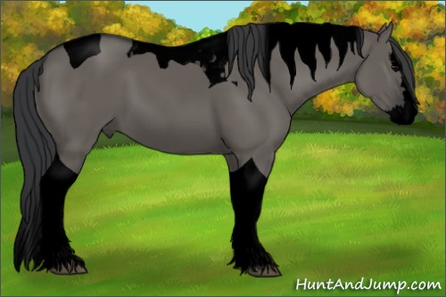Horse Color:Void Grullo Splash Tobiano