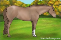 Horse Color:Black Pearl 