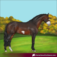 Horse Color:Brown Frame 
