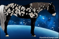 Horse Color:Smoky Grullo Splash Appaloosa 
