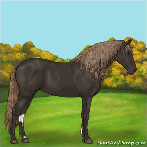 Horse Color:Gray Chocolate Palomino