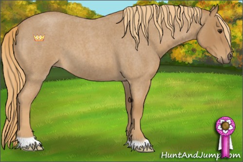 Horse Color:Red Roan 
