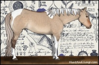 Horse Color:Silver Bay Dun Tobiano 