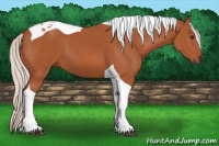 Horse Color:Silver Bay Tobiano