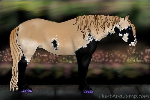 Horse Color:Chestnut Splash 