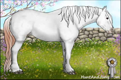 Horse Color:Bay Dun Varnish 